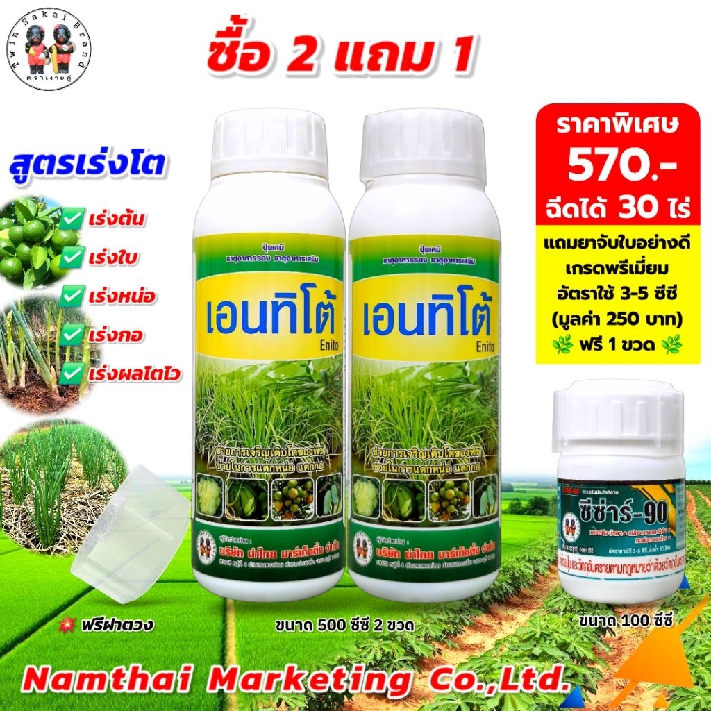 ตราเงาะคู่ เอนทิโต้ เร่งราก เร่งต้น เร่งหน่อ เร่งกอ เร่งใบ ขยายผลโตไว [2 แถม 1]