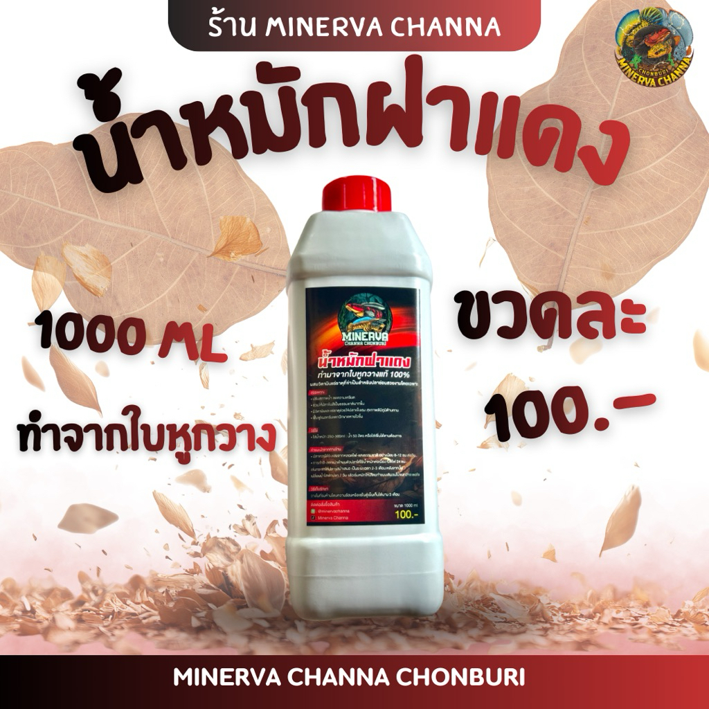 น้ำหมักฝาแดงผสมวิตามินรวมสำหรับปลาช่อนสวยงามทุกชนิด ปรับสภาพน้ำ ลดความเครียด ฟื้นฟูสี บำรุงเกล็ด แผลหายไว