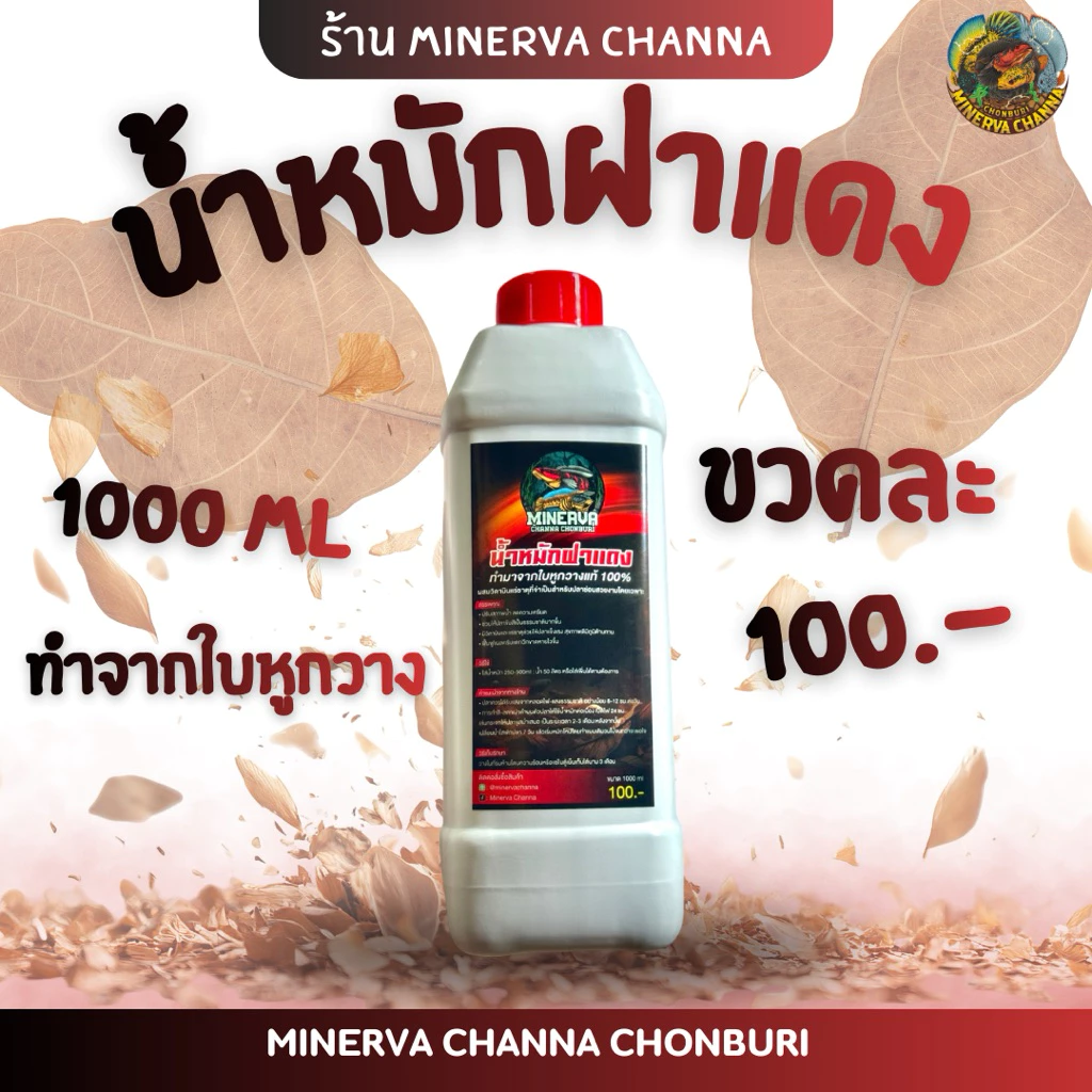น้ำหมักฝาแดงผสมวิตามินรวมสำหรับปลาช่อนสวยงามทุกชนิด ปรับสภาพน้ำ ลดความเครียด ฟื้นฟูสี บำรุงเกล็ด แผลหายไว