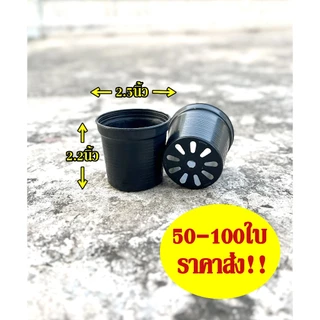 กระถางต้นไม้ กระถางพลาสติก กระถางกลม 2.5นิ้ว สีดำ เซต 20ใบ 50ใบ 100ใบ
