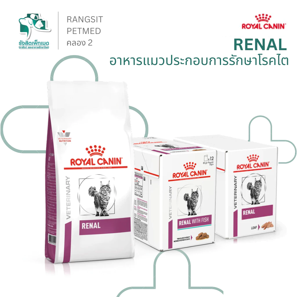 Royal Canin RENAL Cat อาหารแมวโรคไต สูตรควบคุมฟอสฟอรัส บำรุงไต สำหรับแมวโต