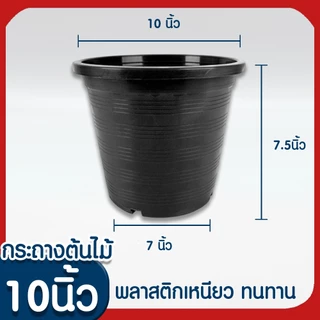 กระถางต้นไม้ สีดำ ลวดแขวนกระถาง ฟองน้ำ ต้นไม้ เพาะปลูก เพาะชำ กล้วยไม้ 4/5.5/6/8 นิ้ว