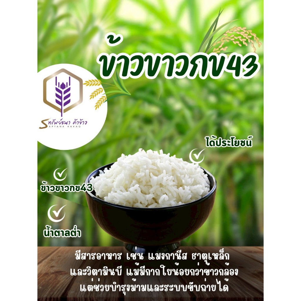 ข้าวนิ่ม ข้าวอ่อน ข้าวขาว43 ข้าวเพื่ือสุขภาพ ข้าวขาว สะอาด ข้าวปลอดภัย ข้าวน้ำตาลต่ำ น้ำหนัก 5 กิโลกรัม