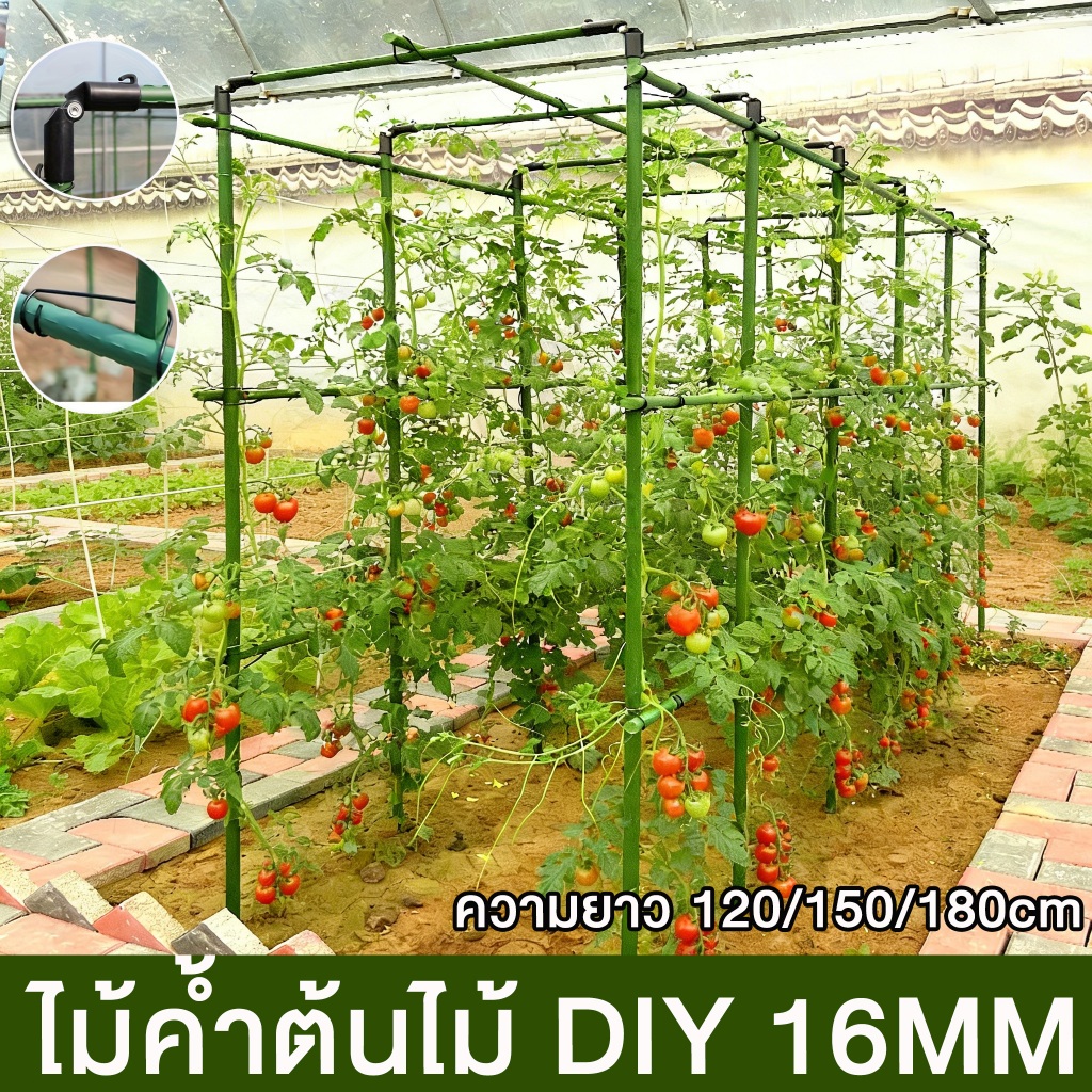【10 ปีไม่พัง】ไม้ค้ำต้นไม้ DIY โครงปลูกผัก เหล็กเคลือบพลาส ซุ้มไม้เลื้อย ความหนา 16mm ความยาว120/150/180cm