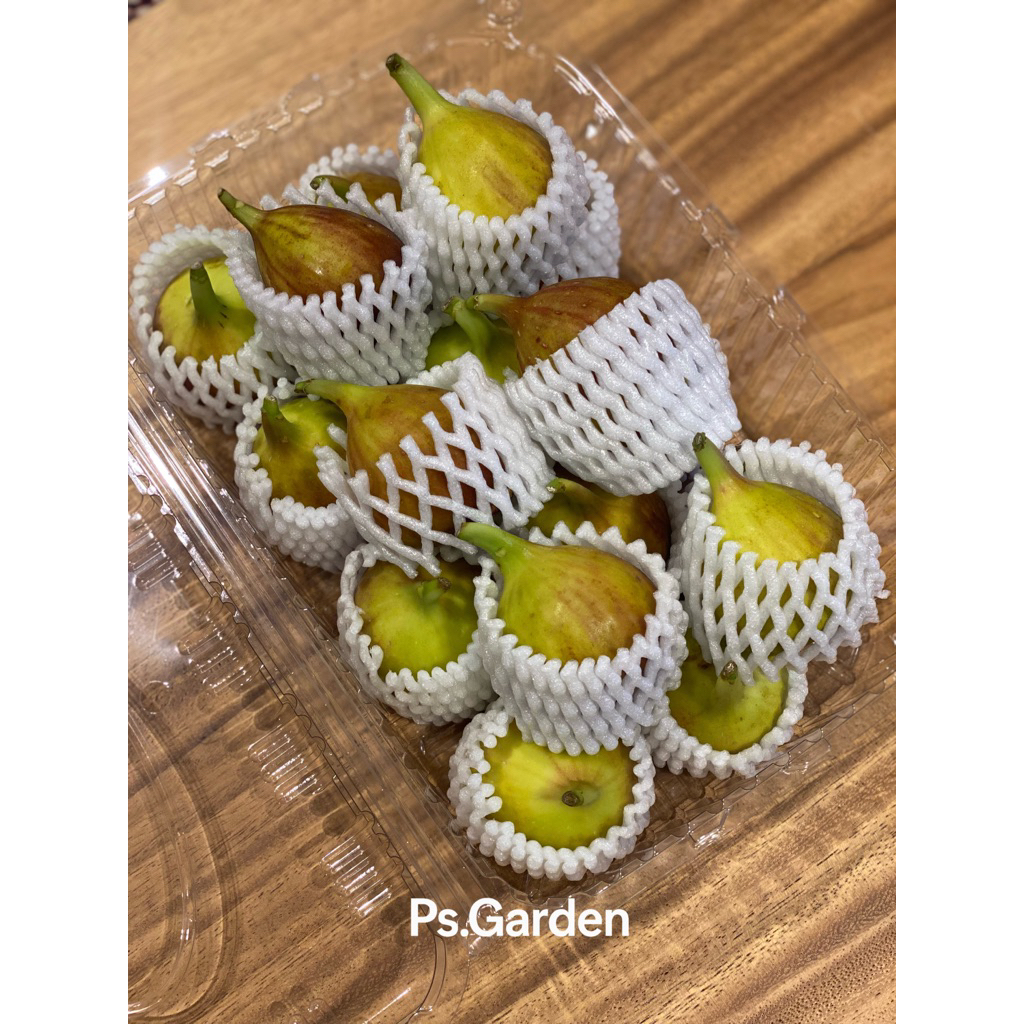ฟิกสด มะเดื่อฝรั่ง สายพันธุ์บราวตุรกี  (fresh fig) รวมจัดส่งแบบแช่เย็น
