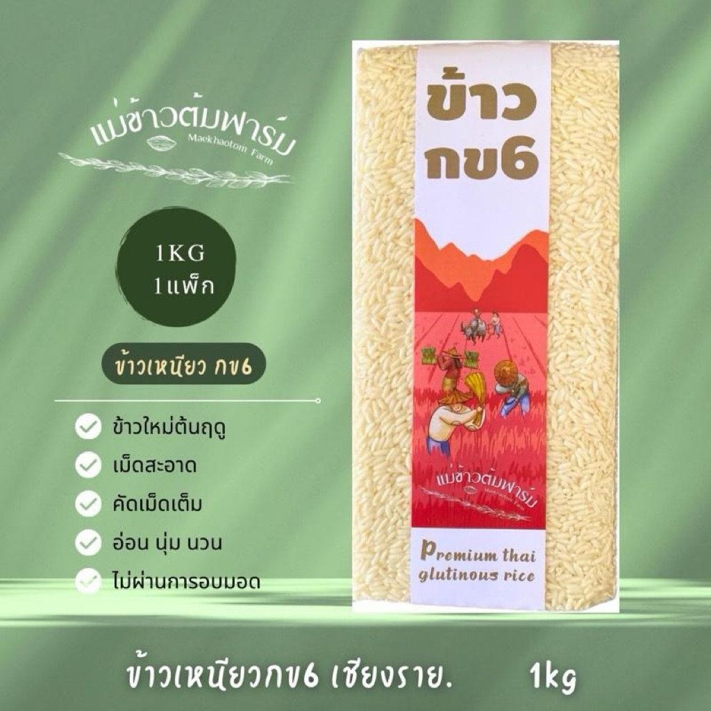 ข้าวเหนียวกข6 แม่ข้าวต้มฟาร์ม เป็นข้าวใหม่ เกรดพรีเมี่ยม เม็ดไม่สะอาด หอมนุ่มเหนียวไม่เกาะตัวกันเป็นก้อน ไม่ผ่านการอบมอด