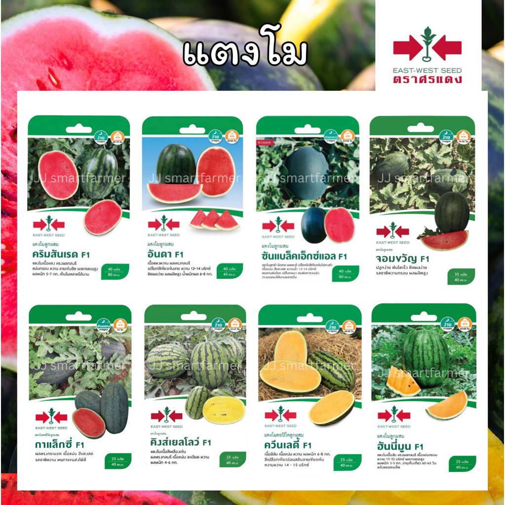เมล็ดแตงโม(เมล็ดซอง ตรา ศรแดง)มีทั้งเนื้อแดงและเนื้อเหลือง คริมสันเรด,อันดา,กาแล็กซี่,คิงส์เยลโล่,ควีนเลดี้,ฮันนี่มูน