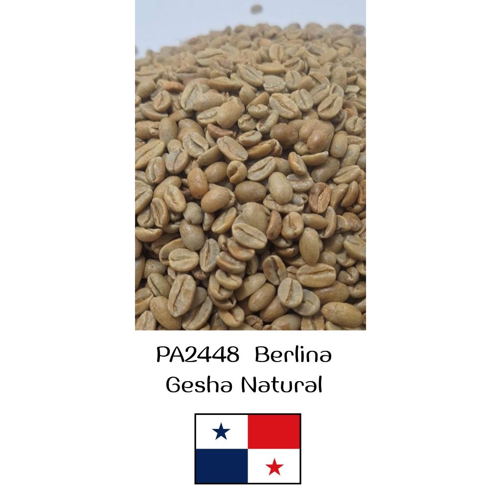 PA2448  Berlina Gesha Natural