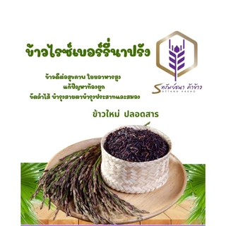 ข้าวไรซ์เบอรี่นาปรัง กระสอบ 5 กิโลกรัม ข้าวอ่อน ข้าวนิ่ม ข้าวใหม่ ข้าวเพื่อสุขภาพ