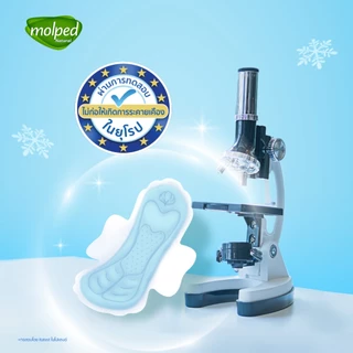 Molped โมลเพด ไอซี่คูล สลิม 0.1 ผ้าอนามัยสูตรเย็น สำหรับกลางวัน แบบมีปีก 25 ซม. จำนวน 14 ชิ้น