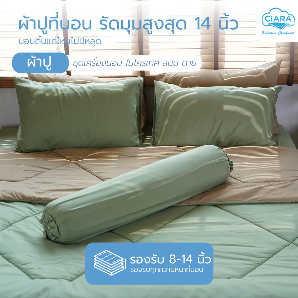 CIARA Bedding ชุดผ้าปูที่นอนและผ้านวมทูโทน สีเขียวมัสฉะ-น้ำตาล ผ้าไมโครเทคลินิน thumbnail 6