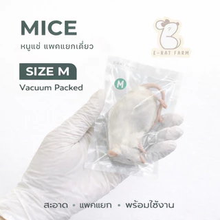 หนูแช่แข็ง Mice JUMP–XXL แพคเดี่ยว | E-Rat Farm อาหารงูขายมานาน7 ปี