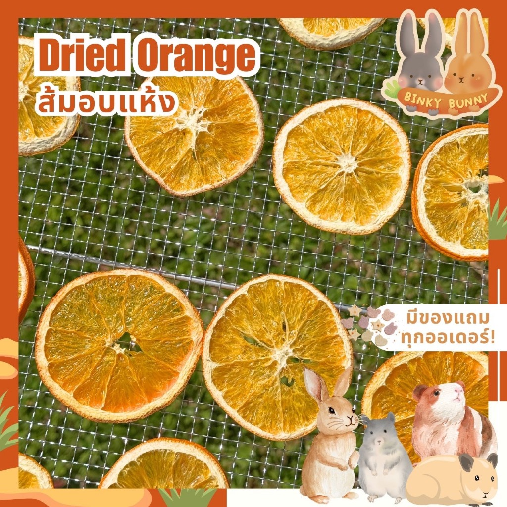 Binky Bunny House ส้มอบแห้ง (Dried Orange) ขนมอบแห้งสำหรับสัตว์ฟันแทะ