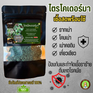ไตรโคเดอร์มา เชื้อสดพร้อมใช้ทันที