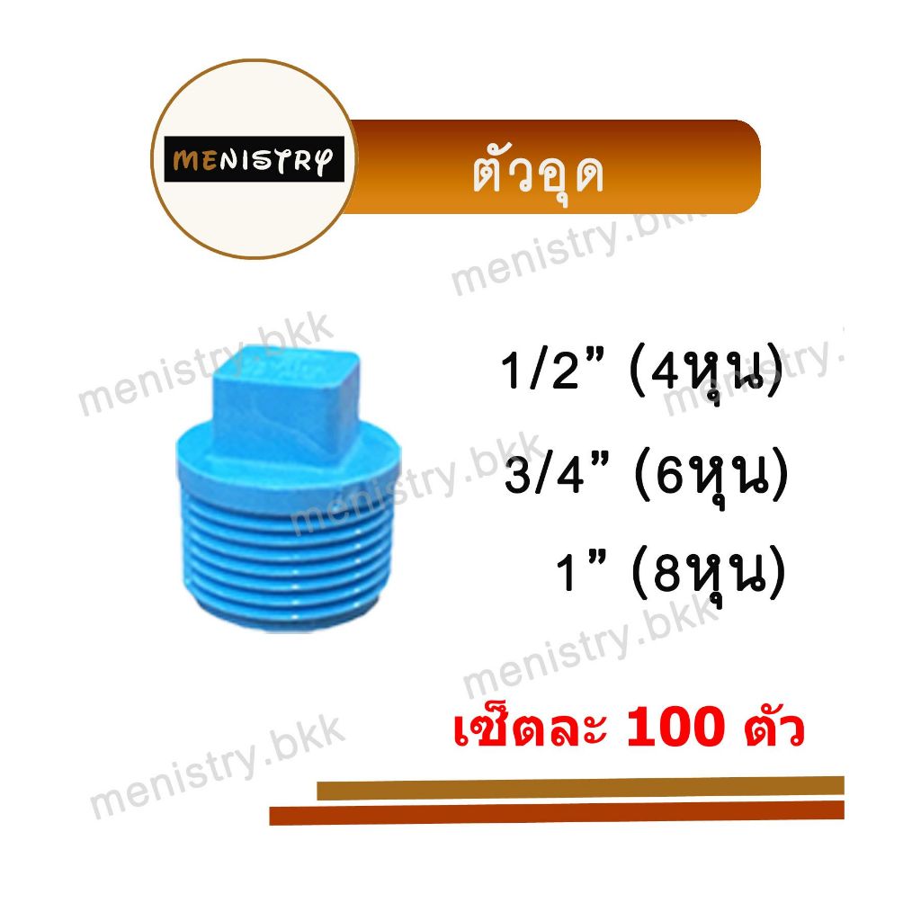 (เซ็ตละ 100 ตัว) ปลั๊กอุด เกลียวนอก ข้อต่อพีวีซี PVC