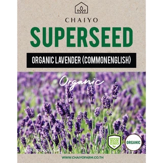 เมล็ด Lavender (Common English) Organic ลาเวนเดอร์ ออร์แกนิค