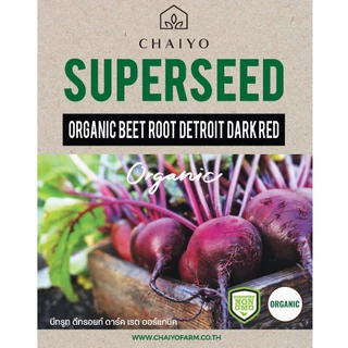 เมล็ด Beet root Detroit Dark Red (Organic) บีทรูท ดีทรอยท์ ดาร์ท เรด ออร์แกนิค