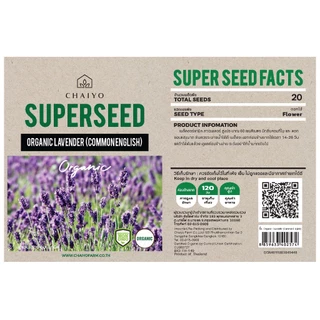 เมล็ด Lavender (Common English) Organic ลาเวนเดอร์ ออร์แกนิค