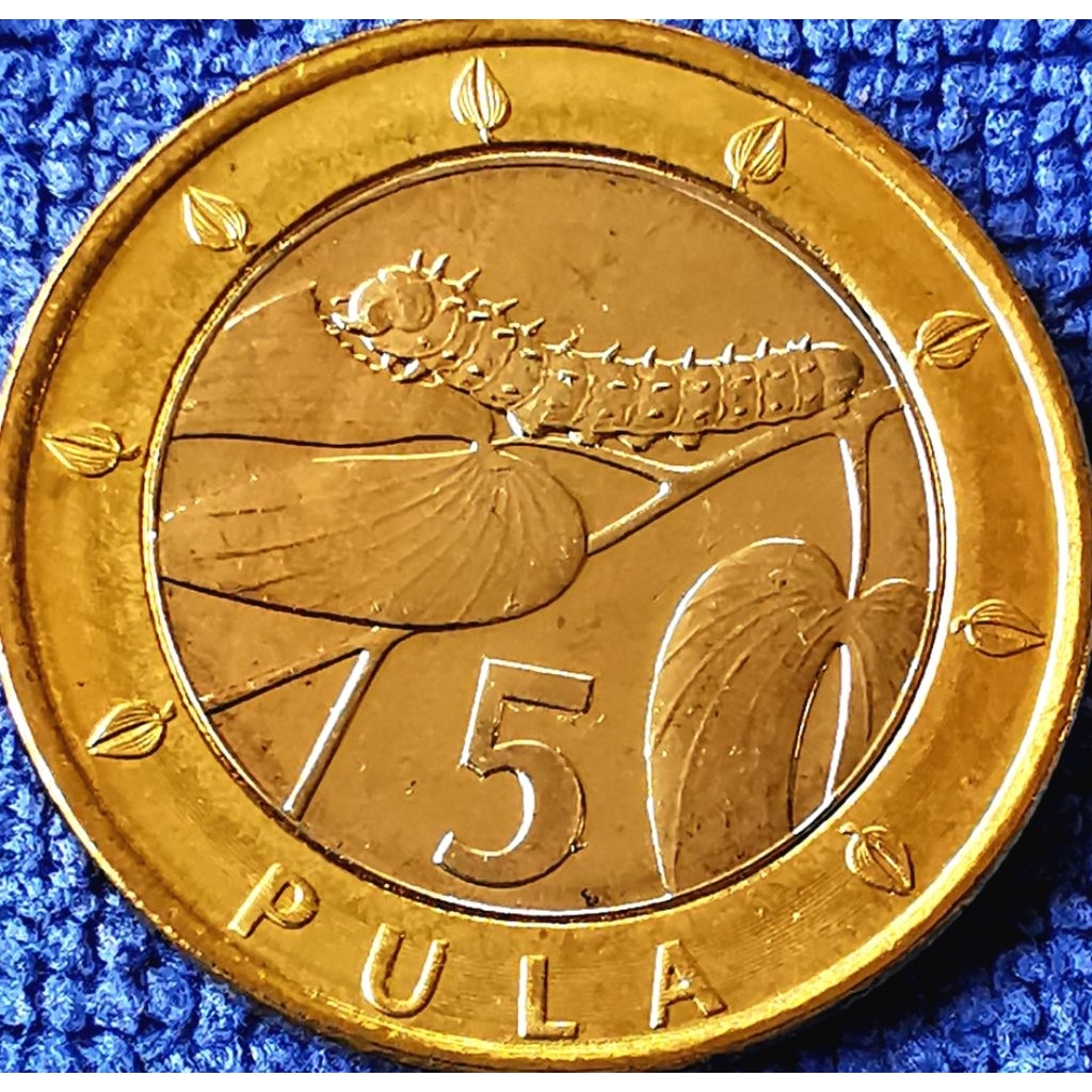 เหรียญ​บอตสวานา​ Botswana, 5 Pula,​ ไม่​ผ่าน​ใช้​ UNC, #​4546