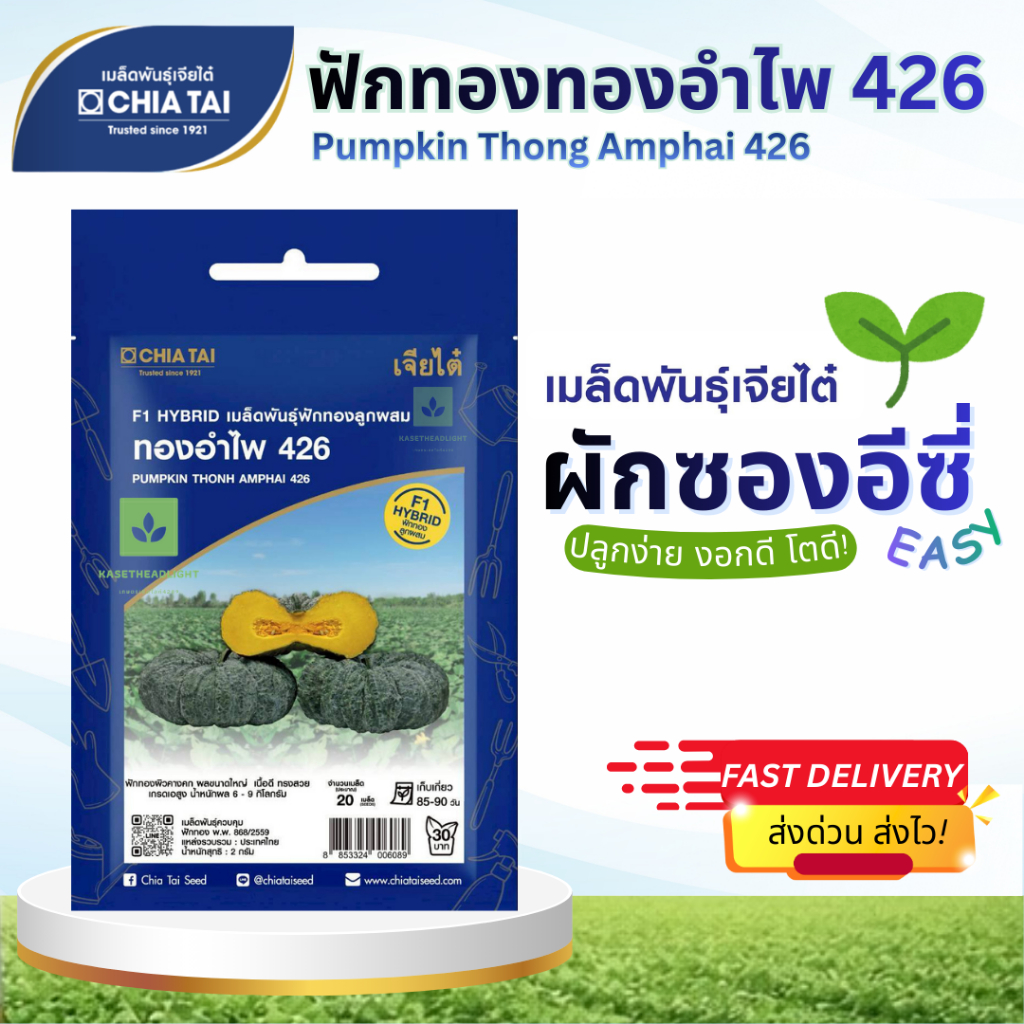 Easy เมล็ดพันธุ์ฟักทอง ทองอำไพ426 20เมล็ด เจียไต๋ Pumpkin Thong Amphai 426