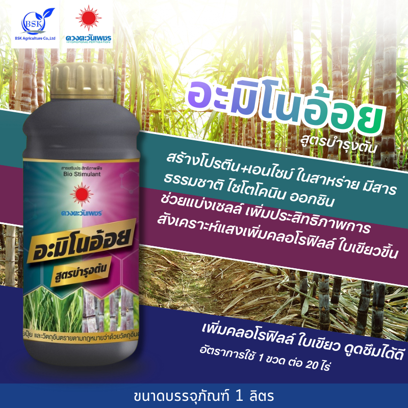 (ยกลัง1L*12) อะมิโนอ้อย 1L (ดวงตะวันเพชร)