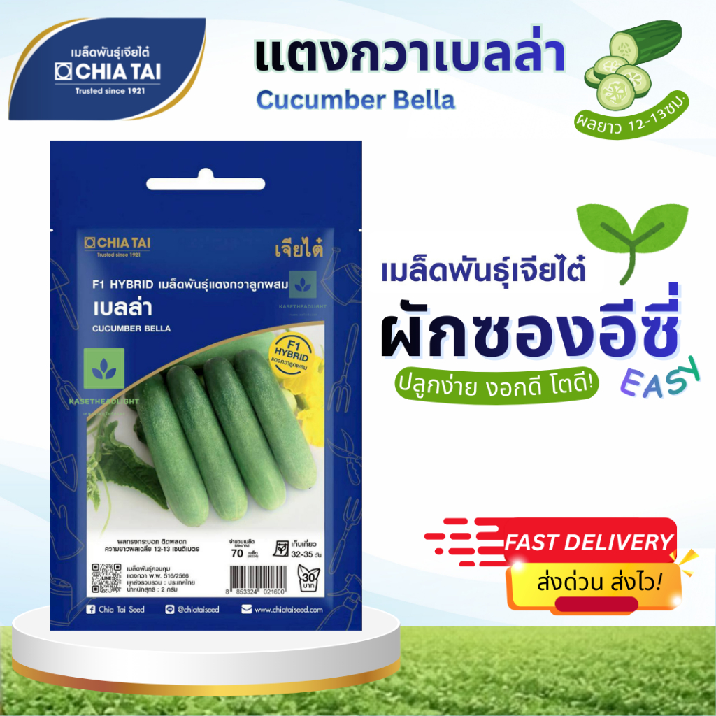 Easy เมล็ดพันธุ์แตงกวาเบลล่า 70เมล็ด เจียไต๋ Cucumber Bella