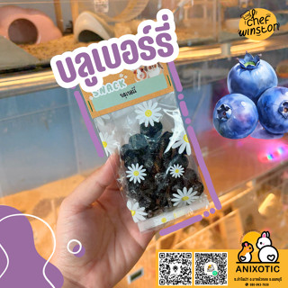 Chef Winston [บลูเบอร์รี่] ขนมสัตว์เลี้ยง ขนมแฮมสเตอร์ ขนมกร…