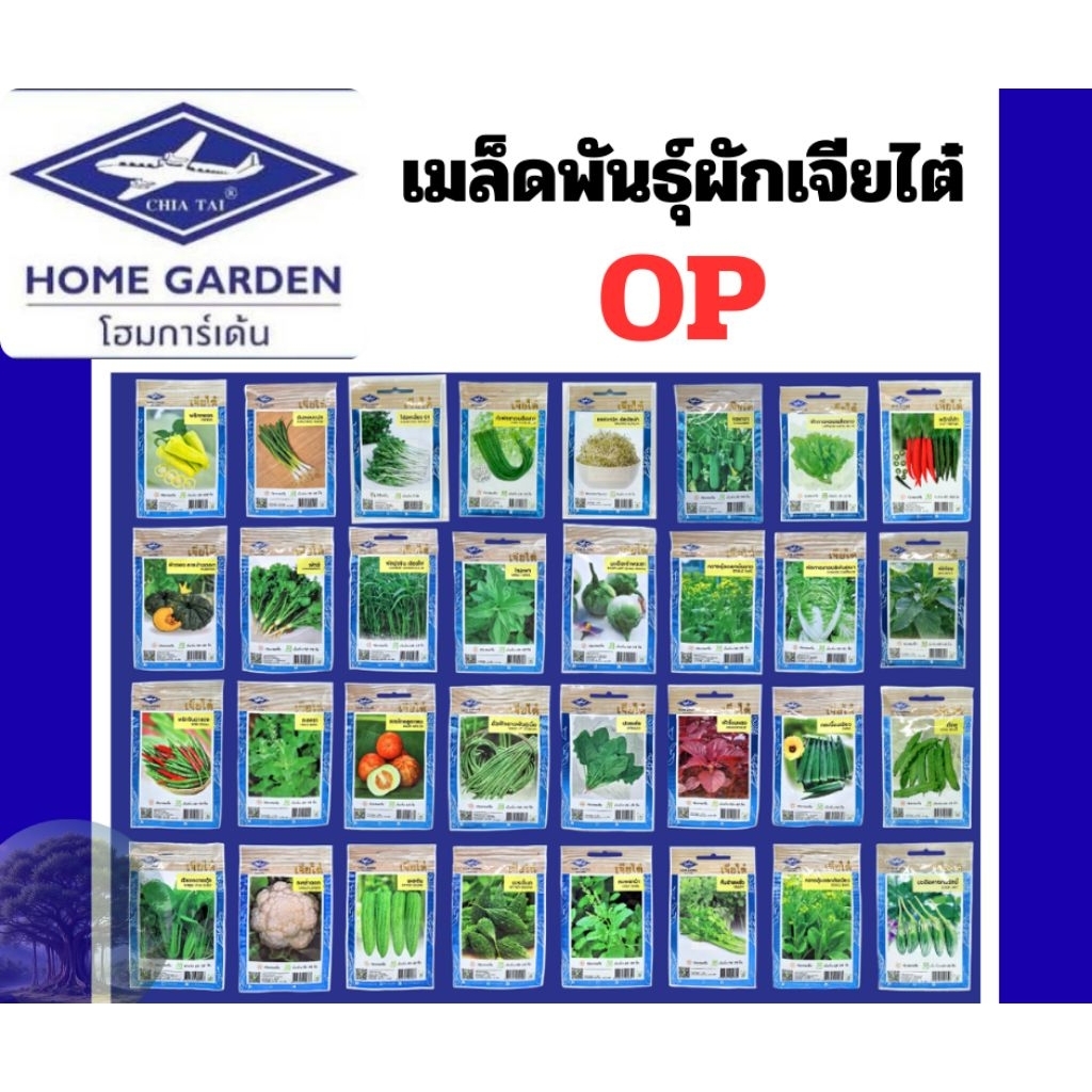 เมล็ดพันธุ์ผักเจียไต๋