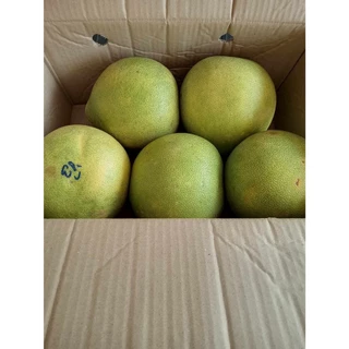 [ กล่องละ 6 ลูก ] ส้มโอขาวน้ำผึ้งพิจิตร ส้มโอสด น้ำหนัก 0.8 -1.0 กิโล เนื้อหวาน ไม่ขม อร่อย พร้อมส่ง