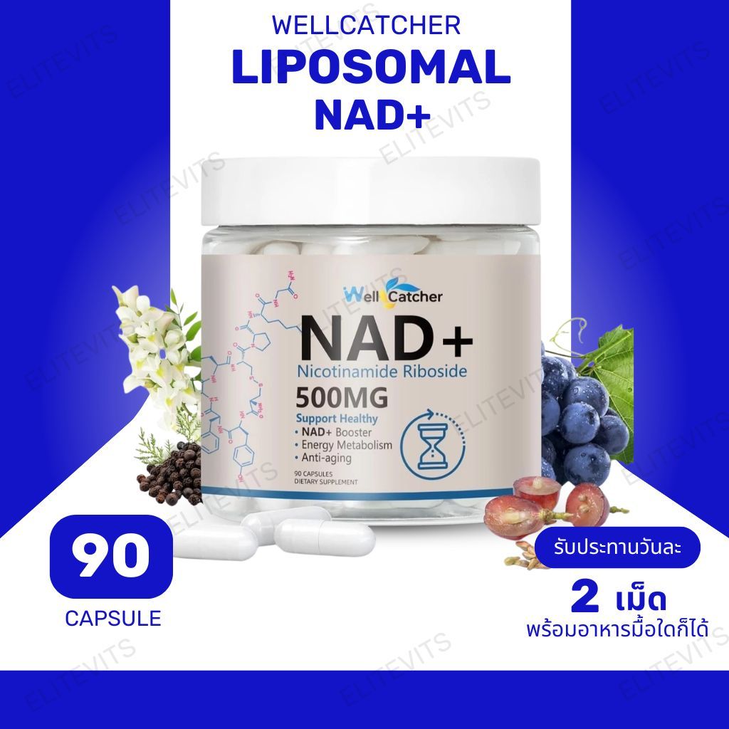 Wellcatcher Liposomal NAD+ Supplement - NAD Nicotinamide Riboside(NR) 500mg 90Capsule (No.3776)