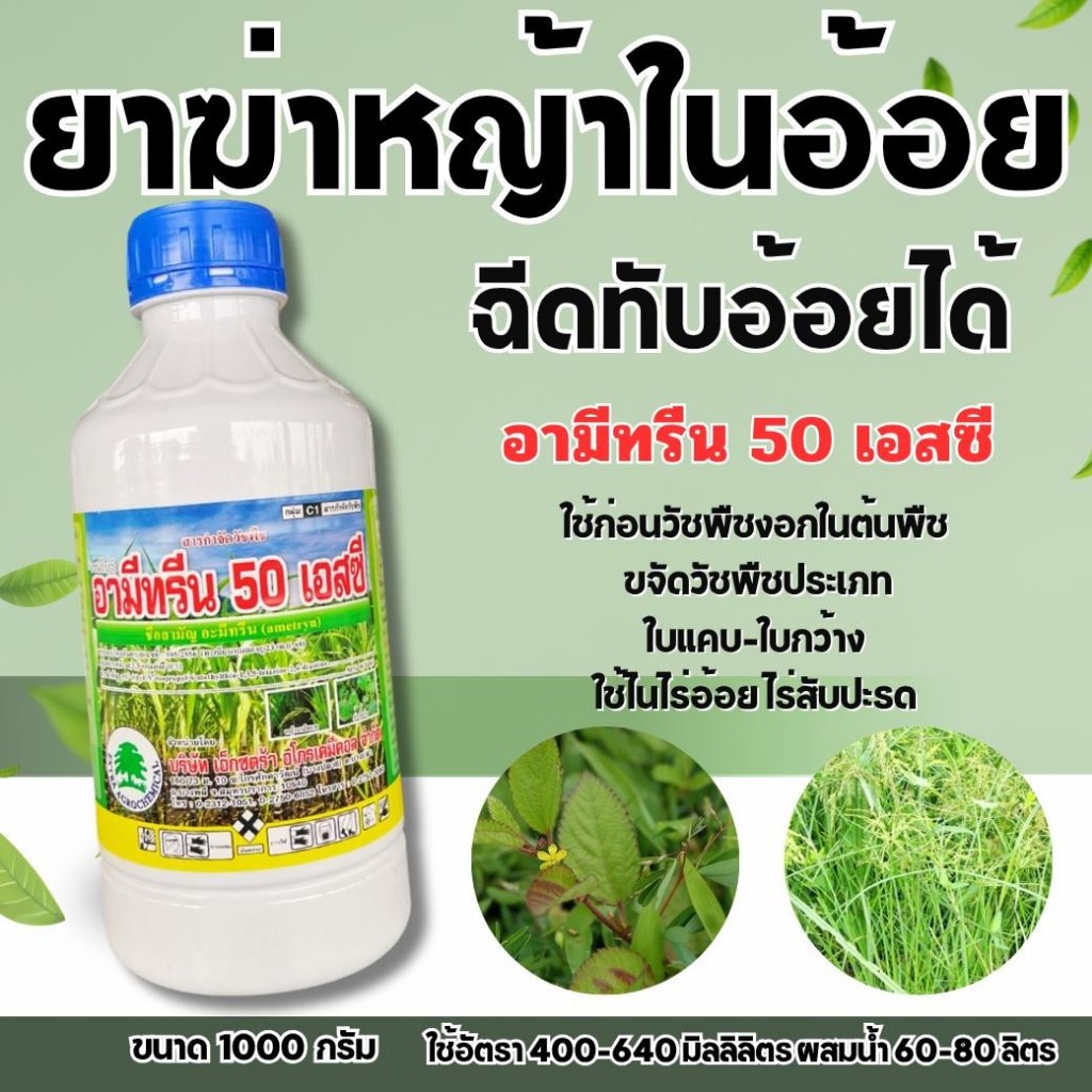 อามีทรีน น้ำ (อะมีทรีน50%) ขนาด 1 ลิตร ใช้ไนไร่อ้อย ไร่สับปะรด อามีทรีน ใช้ก่อนวัชพืชงอกในต้นพืช ขจัดวัชพืชประเภทใบแคบ-ใ ราคา ถูกที่สุด ดีลบีเคเค