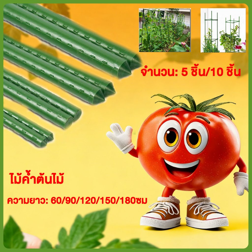 ไม้ค้ำยันต้นไม้ หลักไม้ค้ำ เสามะเขือเทศ ยาว 60-180 ซม. หนา 8-16 มม. ซุ้มไม้ ไม้ค้ำต้นไม้ สำหรับยางอินเดีย ✨ทนทาน กันปลวก