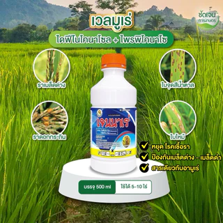 เจนนาเร่ ตัวแทนอามูเร่ (ขนาด500ml) ไดฟีโนโคนาโซล+โพรพิโคนาโซล 1 ขวดใช้ได้5-10ไร่ ร้านชัดเจนการเกษตร