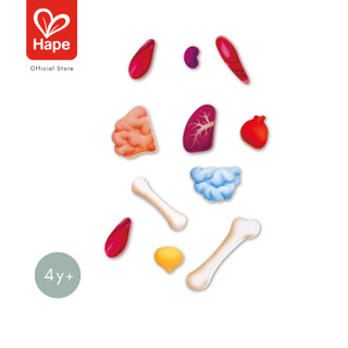 Hape Human Body Puzzle	จิ๊กซอว์ อะไรในร่างกายหนู ยาว 1m เท่าขนาดคน	4Y+ รูปที่ 6
