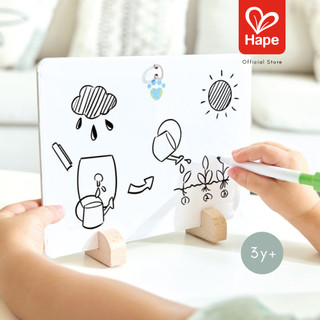 Hape - Green School        ชุดสำรวจโรงเรียนสีเขียว        3Y+ รูปที่ 5