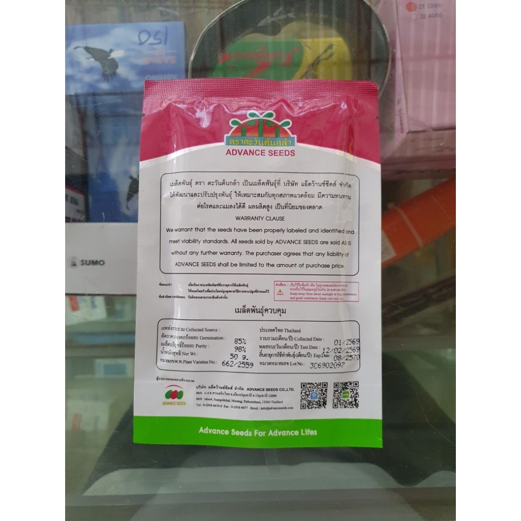เมล็ดฟัก ฟักศรีนวล ฟักหอม ฟักลูกผสม ตราตะวันต้นกล้า 50 กรัม หอม เนื้อแน่น กลิ่นหอม เมล็ดฟักหอม ราคา ถูกที่สุด ดีลบีเคเค แกลเลอรีภาพที่ 2