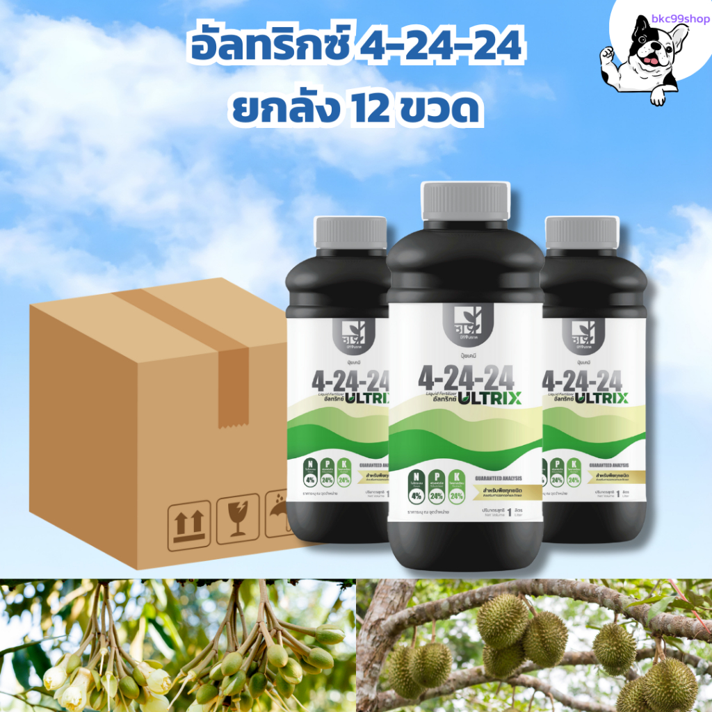 สวนโสภา – ปุ๋ยน้ำอัลทริกซ์ 4-24-24 เร่งดอก ติดผลดี ดอกดก ผลโต ยกลัง 12 ขวด