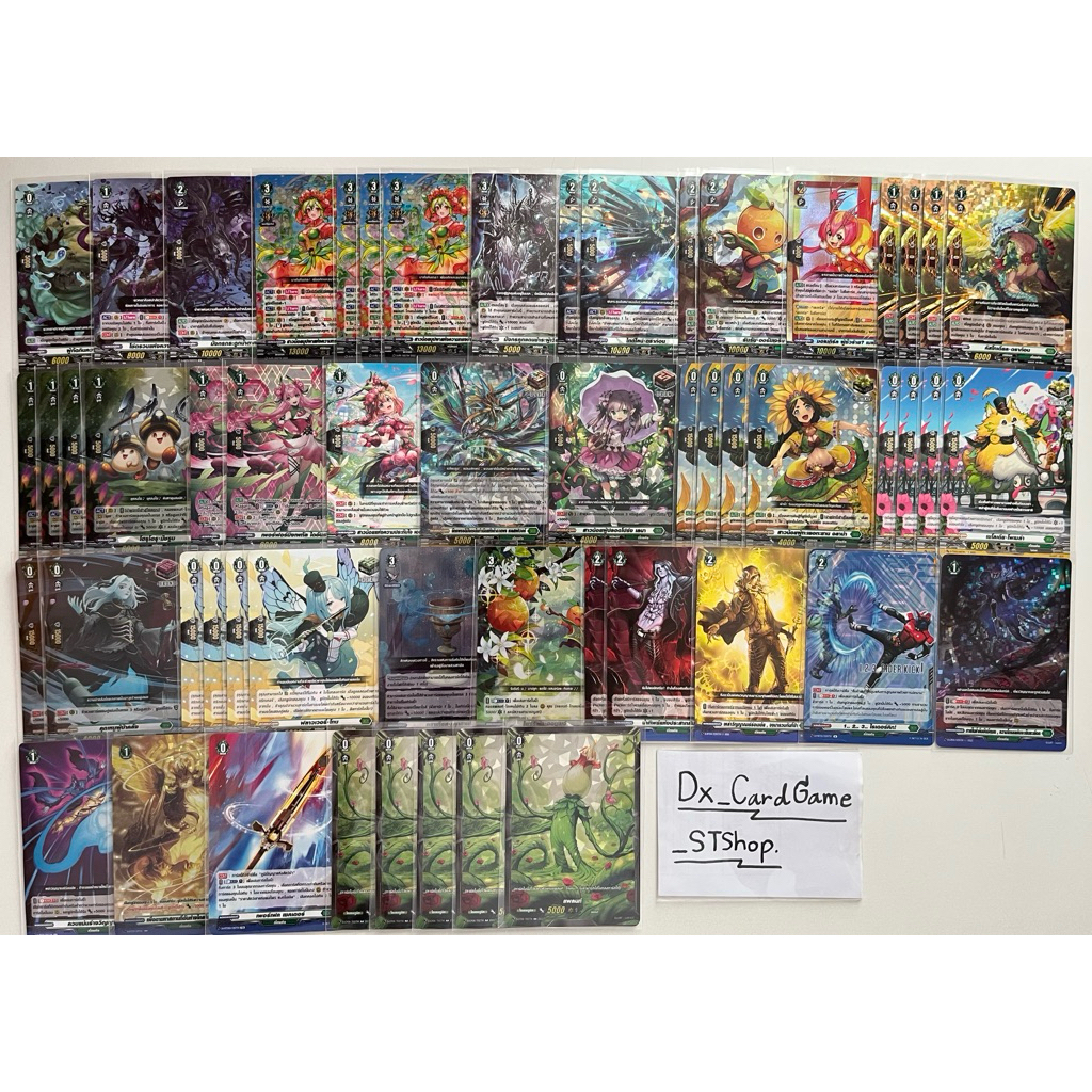 New❗️แวนการ์ด D เด็ค คราวเดีย สโตยเคีย พร้อมเล่น คาบูโตะ มัชรูม D-BT07-2 D-BT06-2 D-CP09 Vanguard