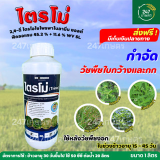 ไตรโม่ 2,4ดี+พิคลอแรม 1 ลิตร กำจัดวัชพืชใบกว้าง กก หนวดแมว แ…