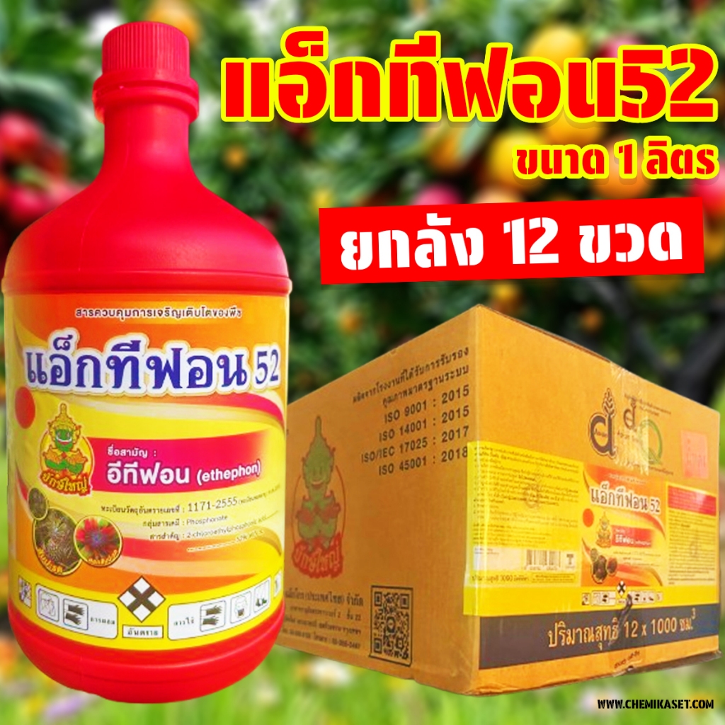 (ยกลัง 12 ขวด) แอ็กทีฟอน52 ขนาด 1 ลิตร สารเร่งสุกผลไม้