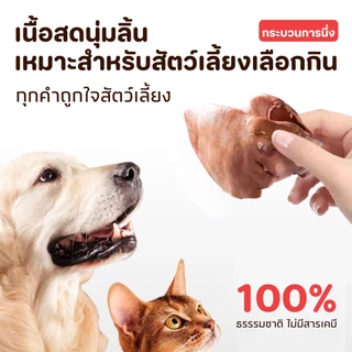 20PCS อกไก่ ตับไก่ น้ำมันปลาผสมตับไก่ ขนมสำหรับแมว ขนมสำหรับสุนัข โภชนาการที่หลากหลาย ดูแลสุขภาพของคุณ
