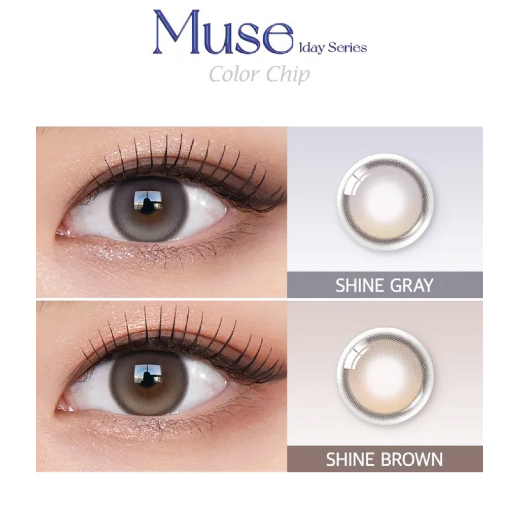 (1day) OLENS รุ่น Muse 1day สี Shine brown, Shine gray คอนแทคเลนส์เกาหลี รายวัน
