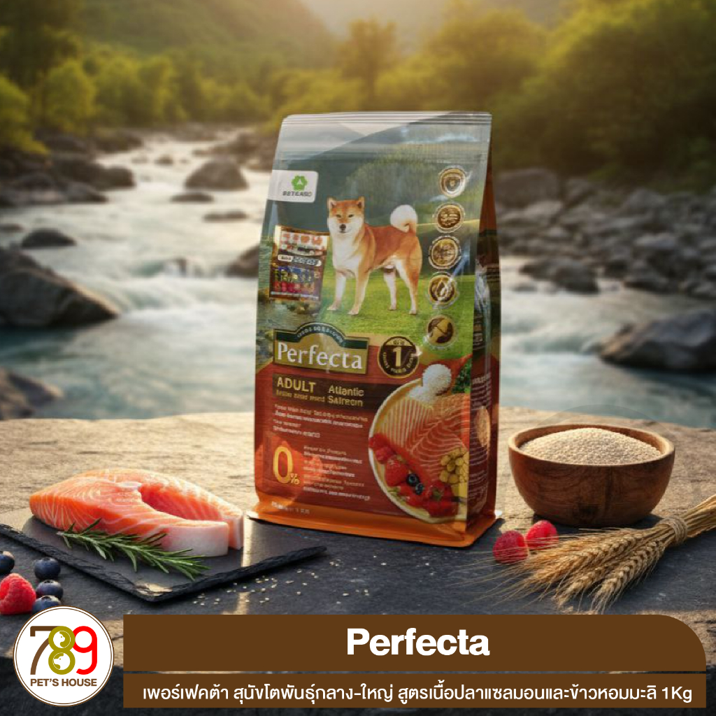Perfecta เพอร์เฟคต้า สุนัขโตพันธุ์กลาง-ใหญ่ สูตรเนื้อปลาแซลมอนและข้าวหอมมะลิ 1Kg