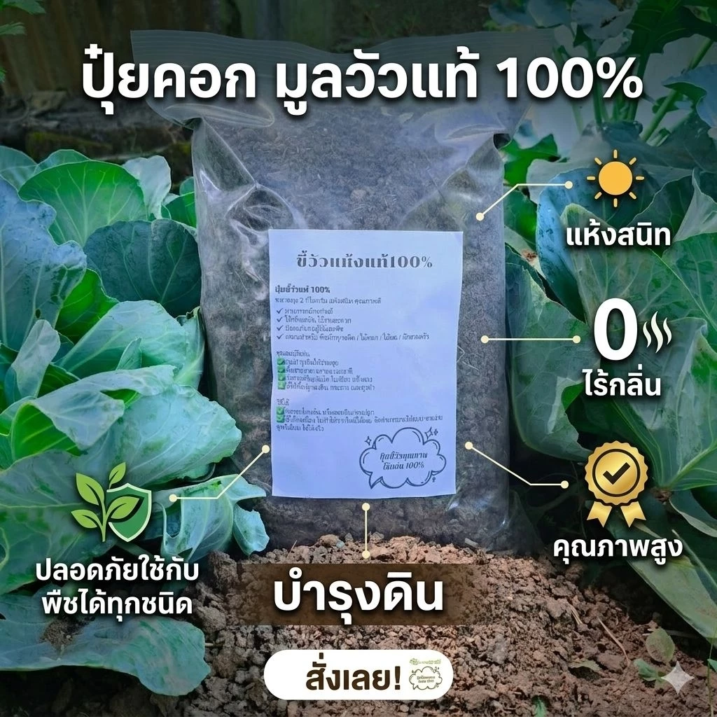 ปุ๋ยมูลวัวแท้ 100% จากธรรมชาติไร้กลิ่นคุณภาพสูง 🐄ช่วยปรับปรุงดินพืชโตไวแข็งแรง( ซื้อ 10 แถม 2 )โปรคุ้มๆ