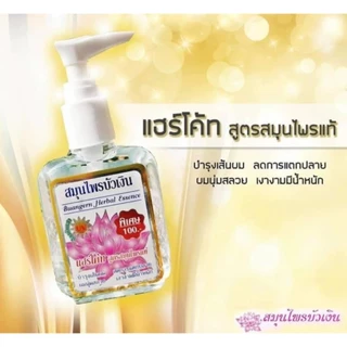 สมุนไพรบัวเงิน แฮร์โค้ท เซรั่ม บำรุงผม สูตรสมุนไพรแท้ สูตรดั้งเดิม Buangern Hair Coat (มีให้เลือก 3 แบบ)