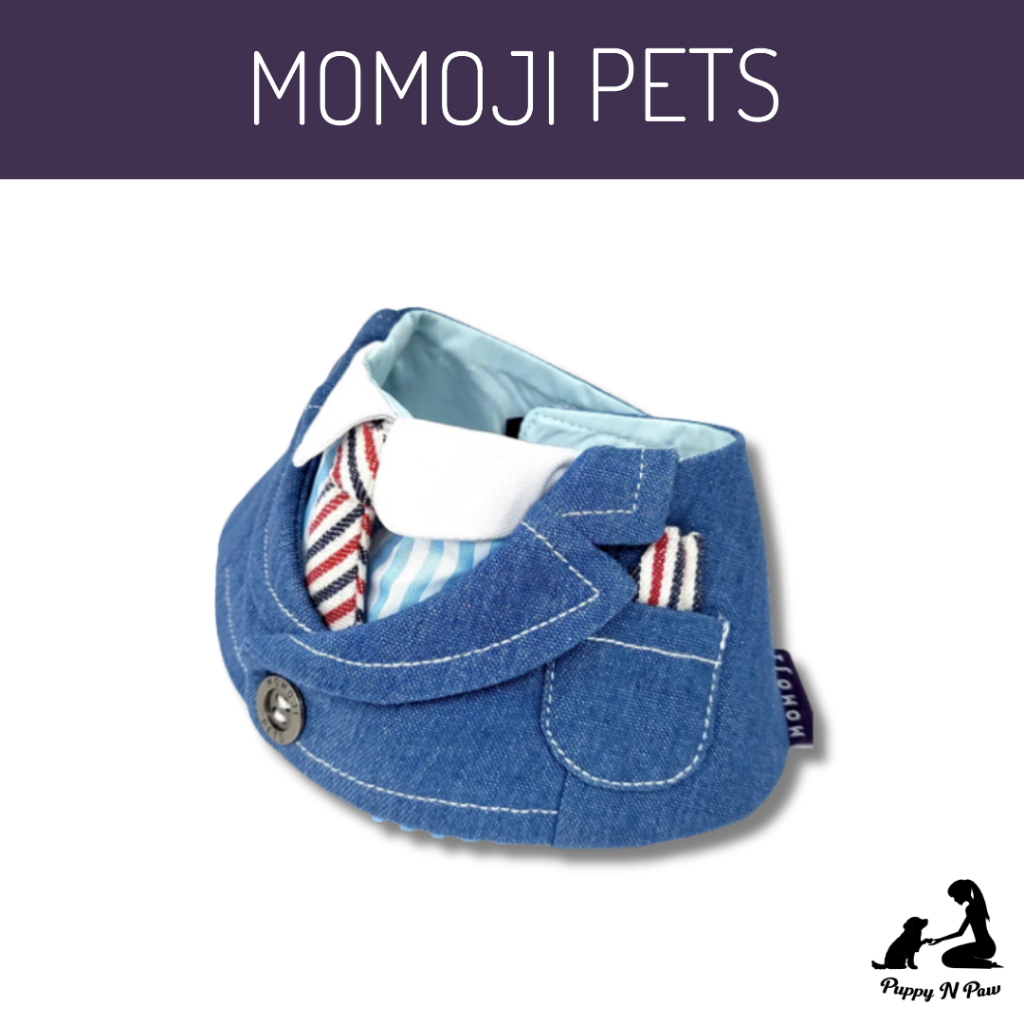 Momoji Wellington Cerulean Denim Blue Pet Bib ชุดสุนัข ชุดแมว