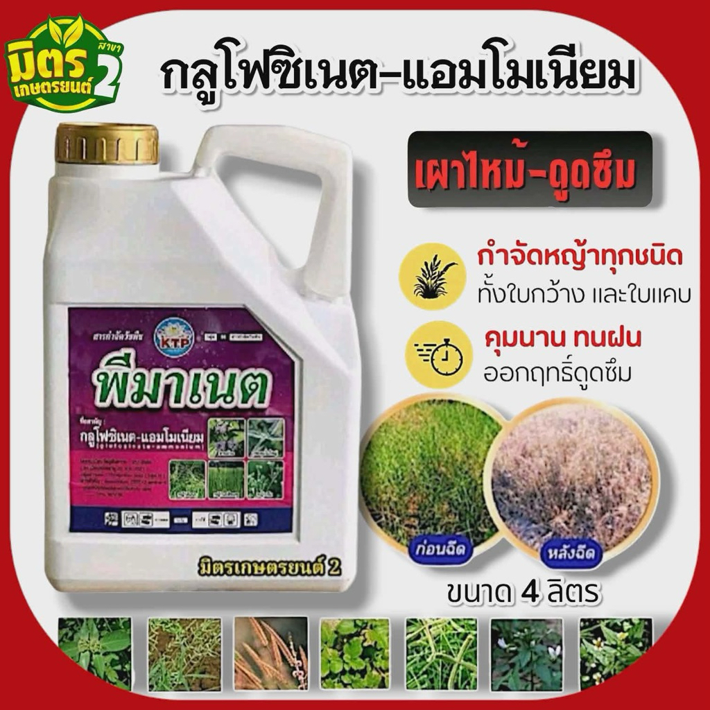 พีมาเนตKTP(กลูโฟซิเนต15) เข้มข้น ขนาด4ลิตร ปราบวัชพืชในนา ในสวน ในไร่ ทั้งใบแคบใบกว้างทุกชนิด สลายตัวง่ายไม่ตกค้างในดิน