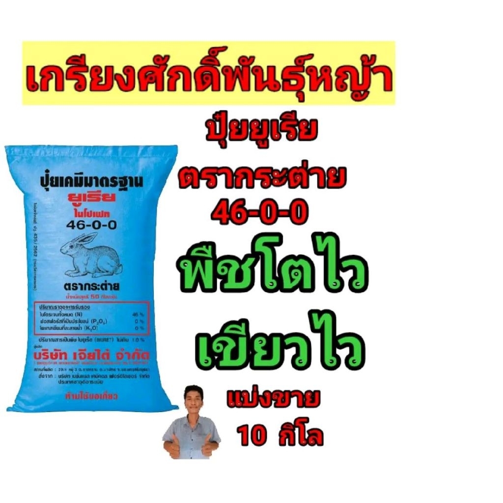 (แบ่งขาย 10 kg.) #ปุ๋ยยูเรียตรากระต่าย 46-0-0 เพื่อโตไว เขียวไว #ปุ๋ยยูเรียตรากระต่าย 46-0-0 #ปุ๋ยยู