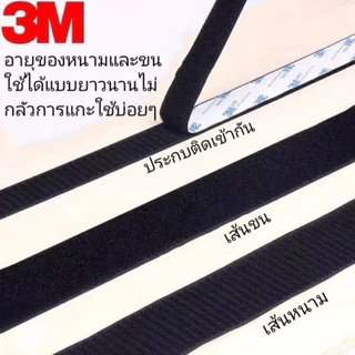 ตีนตุ๊กแก เทปกาวในตัว 3M พร้อมใช้ ขนและหนาม ยาว 1 เมตร มีกาวอยู่ในตัว ตีนตุ๊กแกแท้ เมจิกเทป พร้อมส่ง