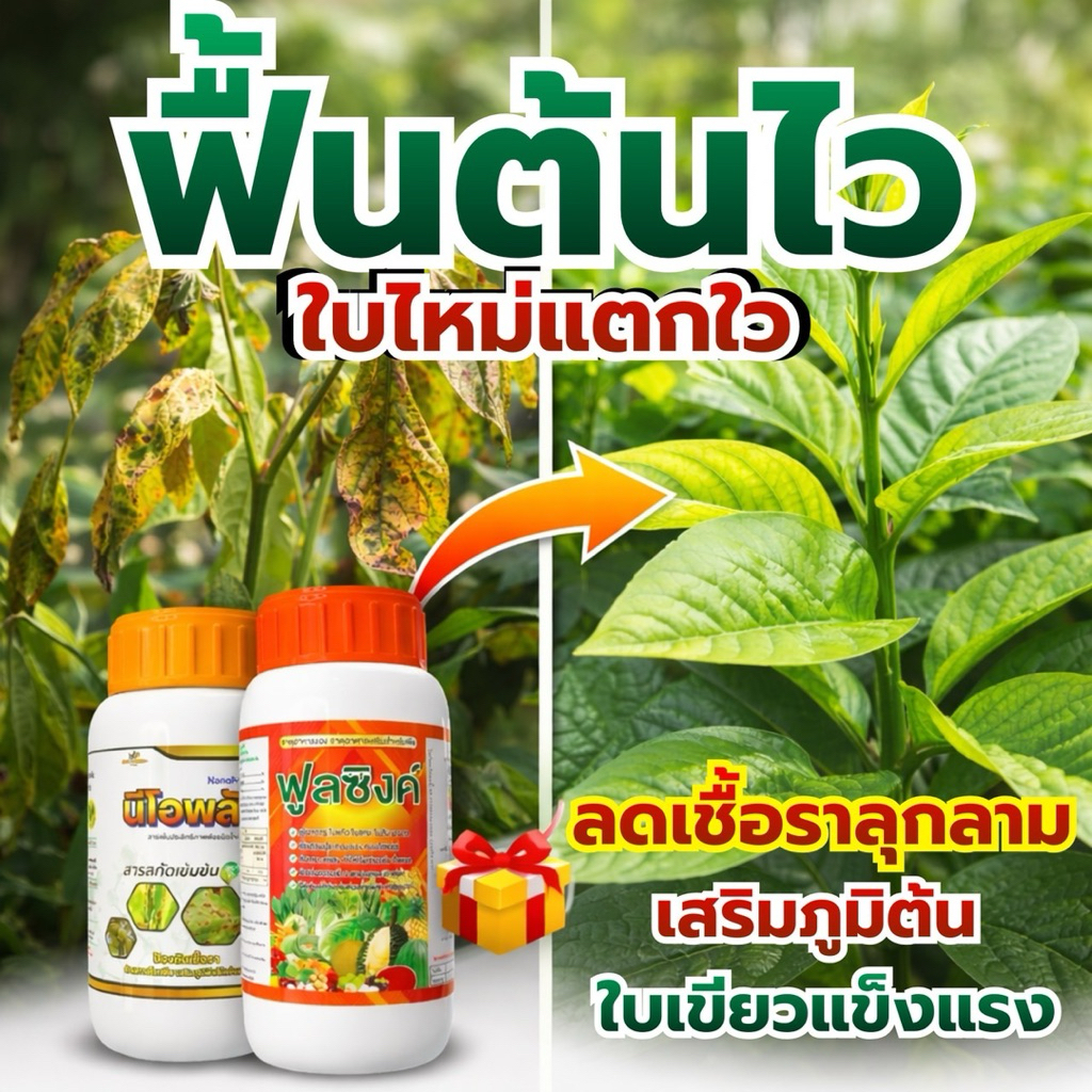 สูตรแก้ใบเหลือง ฟื้นต้นโทรม ป้องกันเชื้อราแก้ใบเหลือง–ใบซีด ✔ ฟื้นต้นโทรม รากไม่เดิน ✔ ป้องกันโรคพืชเชื้อรา  อัตราการผสม